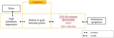 A feasibility study of goal-directed network-based real-time fMRI neurofeedback for anhedonic depression